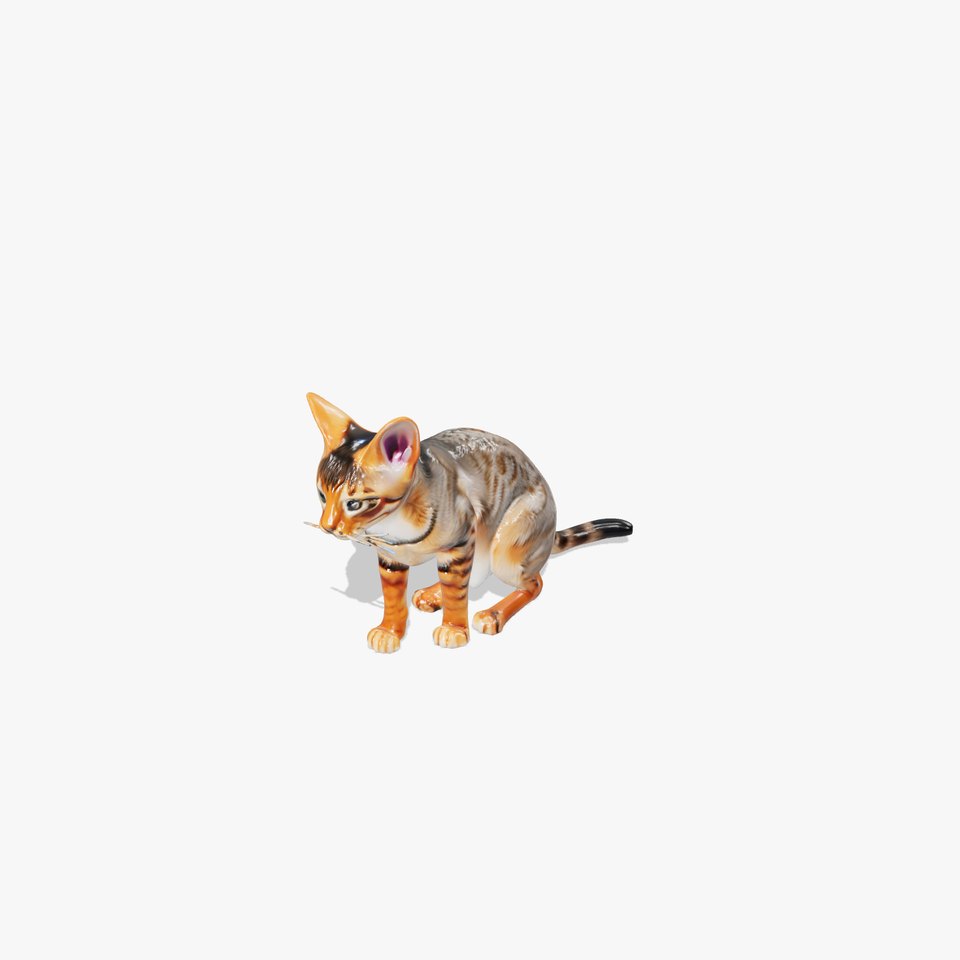 Bengal Cat Realistic 3D Model